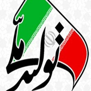 حمایت از تولید داخلی